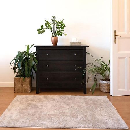 Central Szeged Apartment المظهر الخارجي الصورة