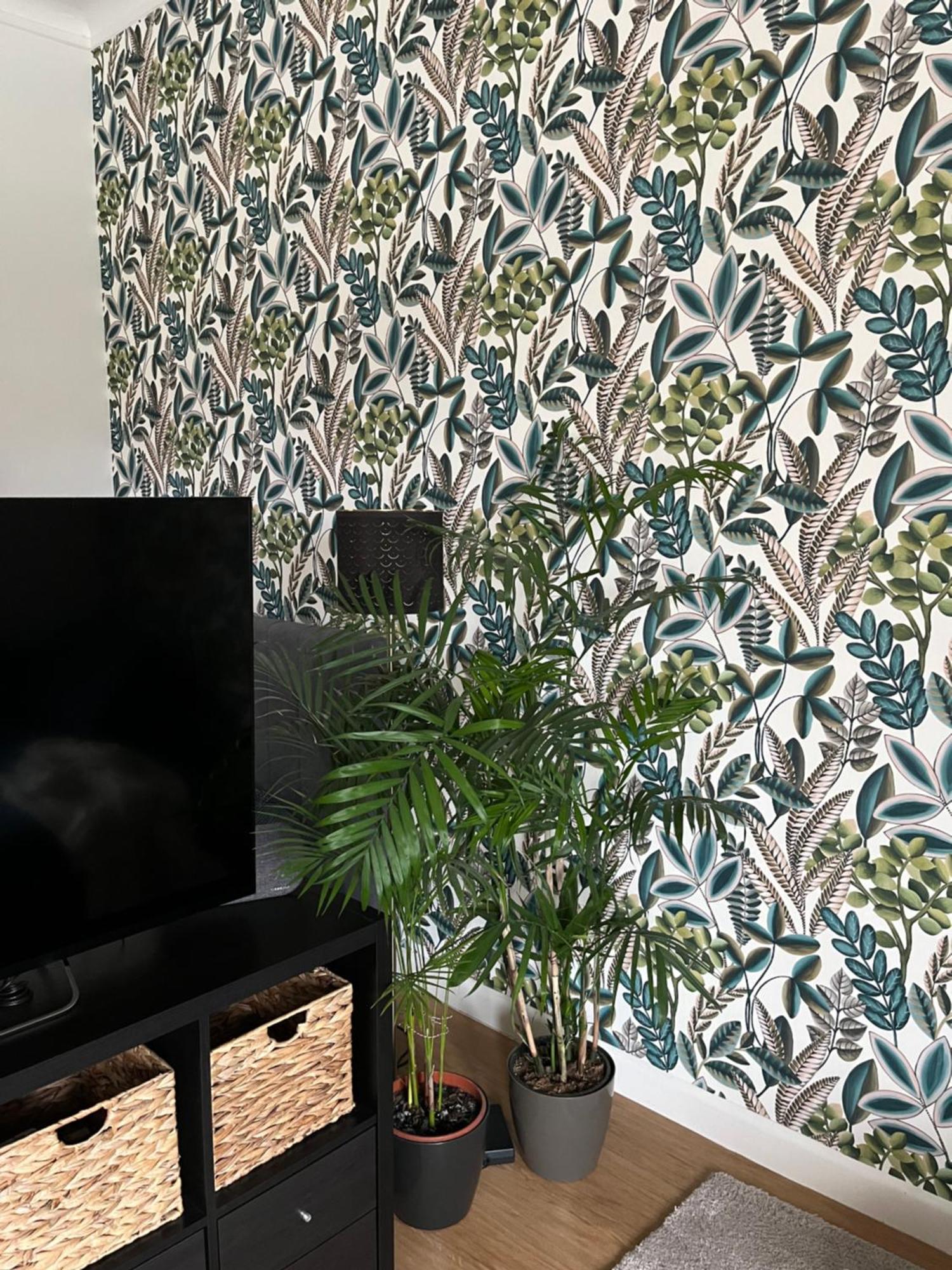 Central Szeged Apartment المظهر الخارجي الصورة
